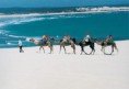 /album/galeria-de-fotos-litoral-nord/turismo-em-genipabu-jpg/